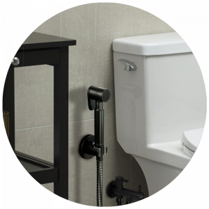 Toilet Shower (Shower Toilet)