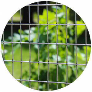 Welded Wire Fence (Pagar Mesh)