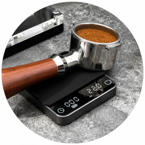 High Precision Scales (Timbangan Akurasi)