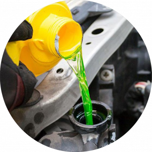 Auto Care & Maintenance (Cairan Perawatan Kendaraan)