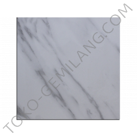 ROMAN GRANIT DMARMIFERA WHITE (GT602059R) 60 x 60 (@ 40 dos)