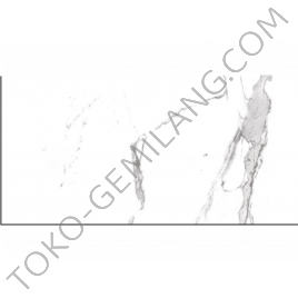 ROMAN GRANIT DPALAIS ARABESCATO (GT1262017R) 60 X 120 (@44/A dos)